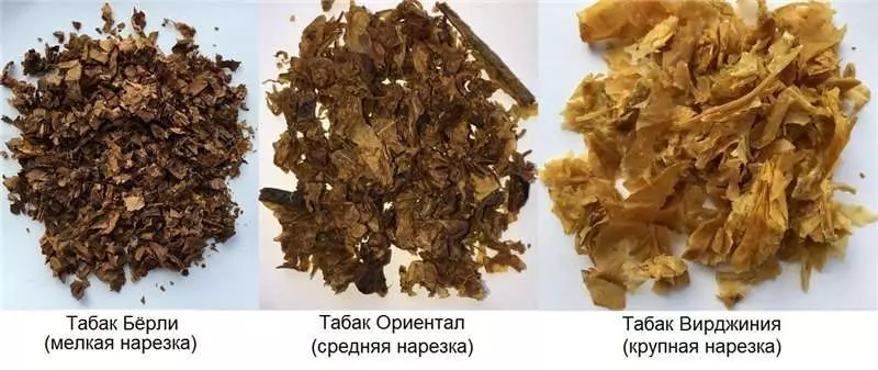 Производство табака для кальяна Производство табака для кальяна