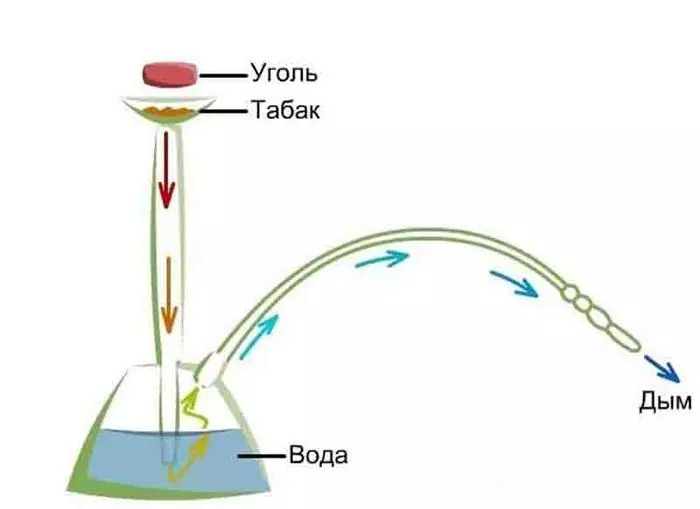 Здесь мы видим схему работы кальяна на воде.