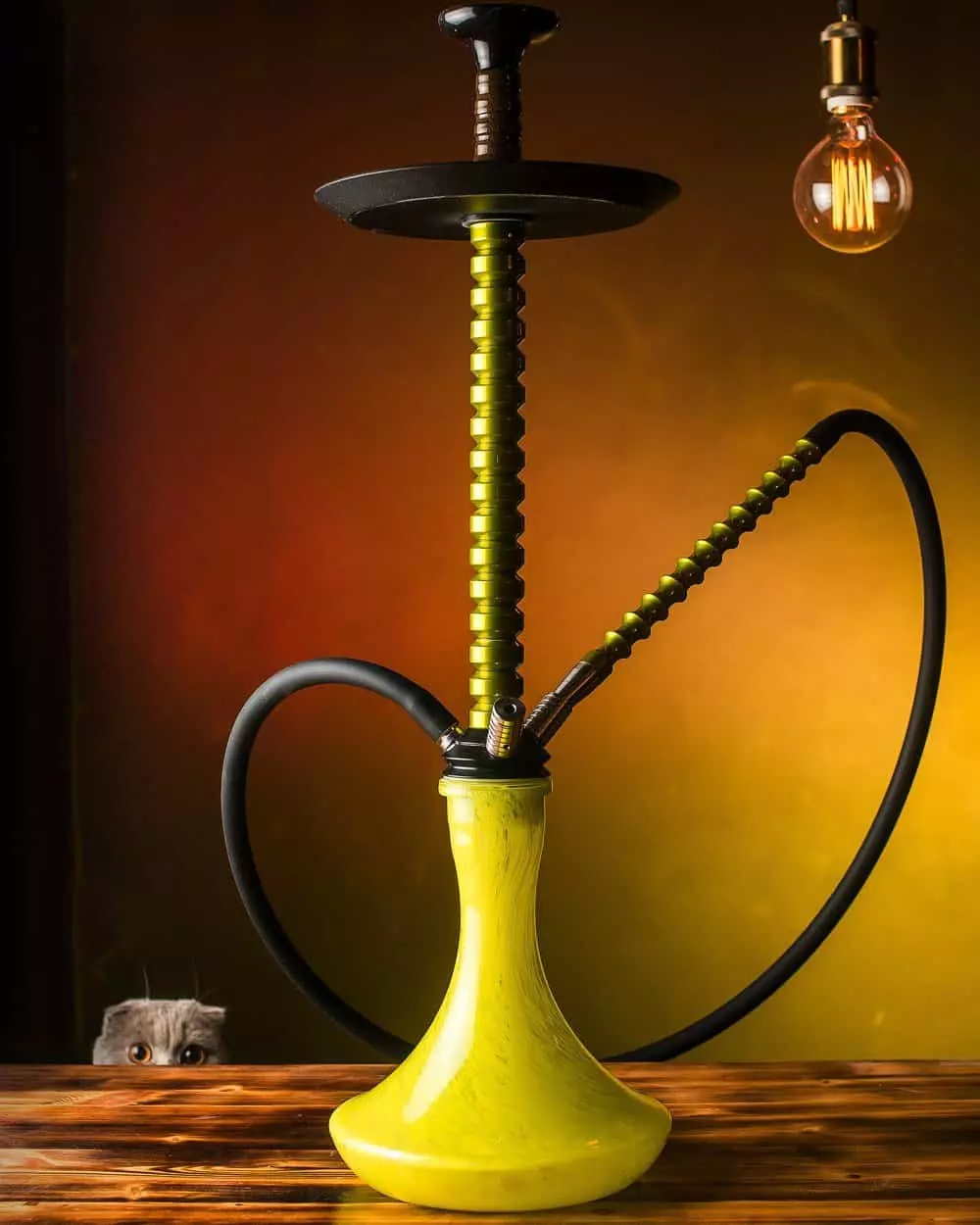 Mamay Customs Mamay Customs