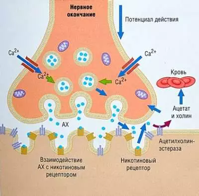 Зависимость от кальяна