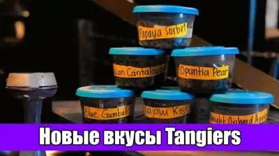 Новые вкусы Танжирс